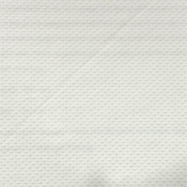 Canadian Popcorn fabric close-up